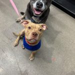 Fiona loves trips to the store with her brother!